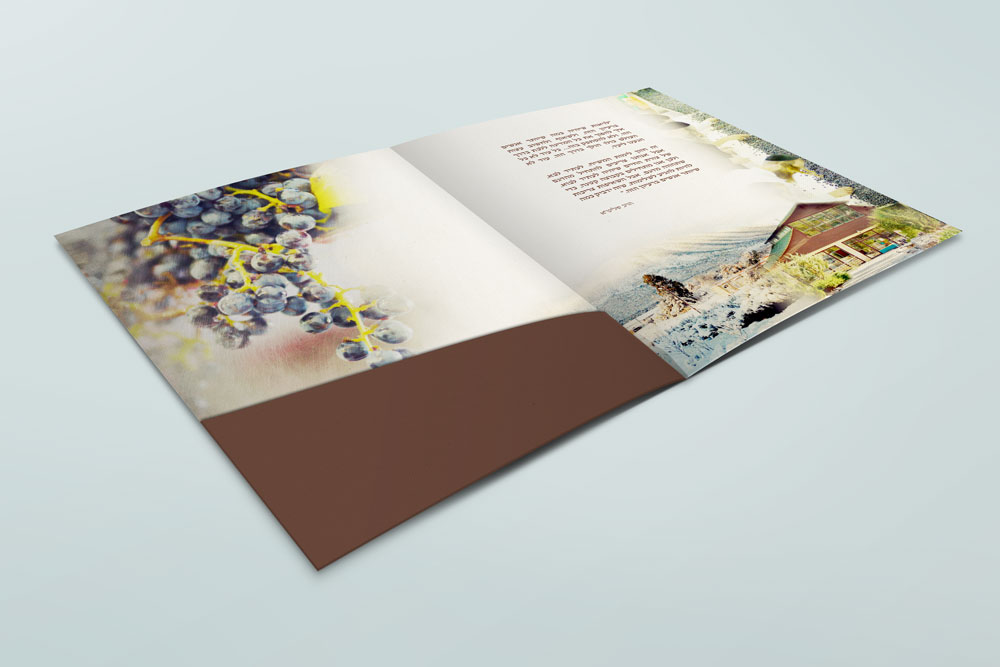 Entry 197239 in Portfolio by סטודיו בכל לבי