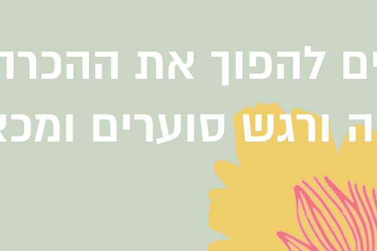 Open Zoomed Related Entry Shani Meshulashֹ_V5-01.png