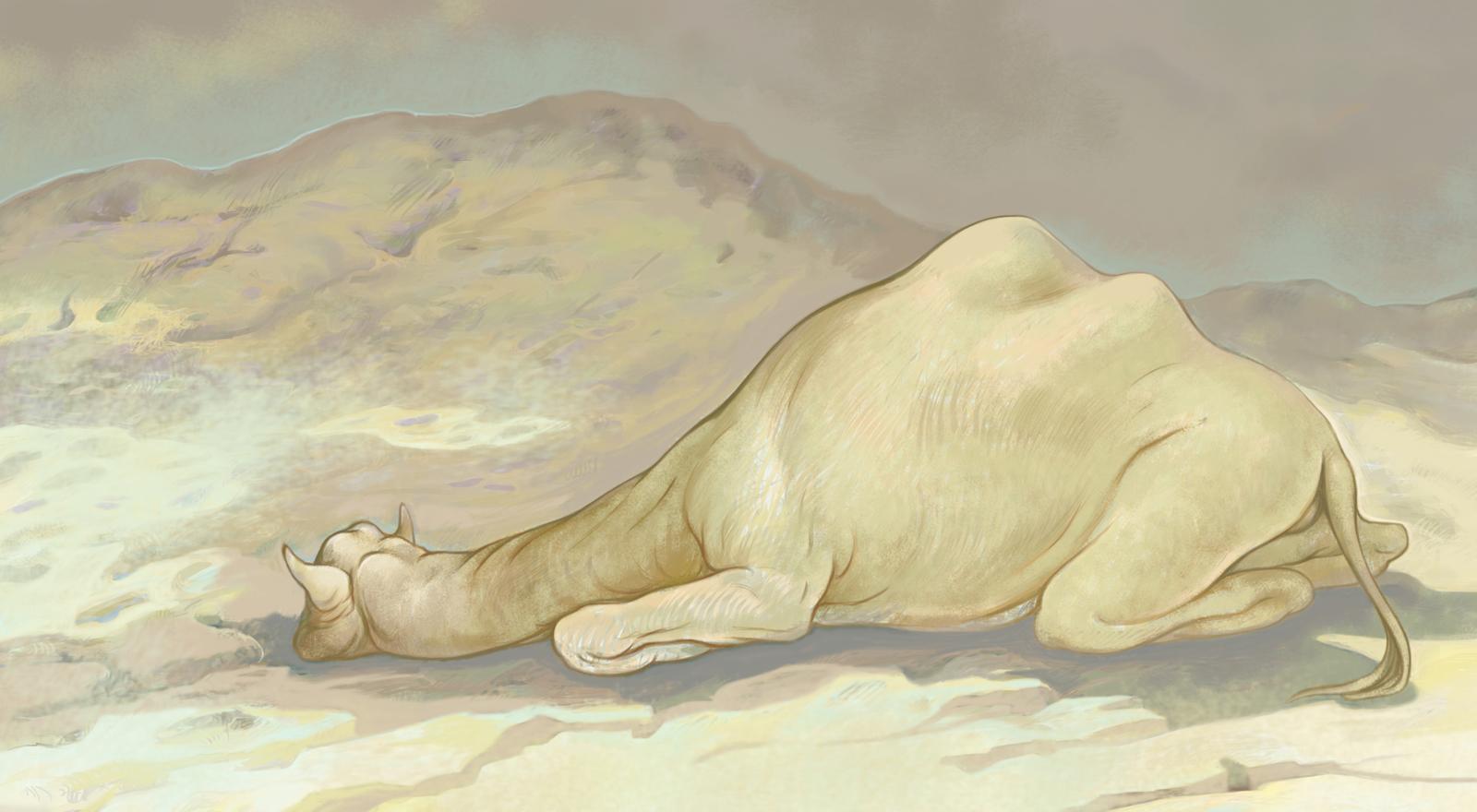 Entry 62221 in Portfolio by ז'אנה סוגירה