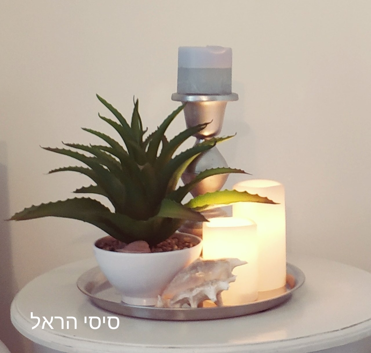 Entry 219422 in Portfolio by סיסי הראל מעצבת פנים