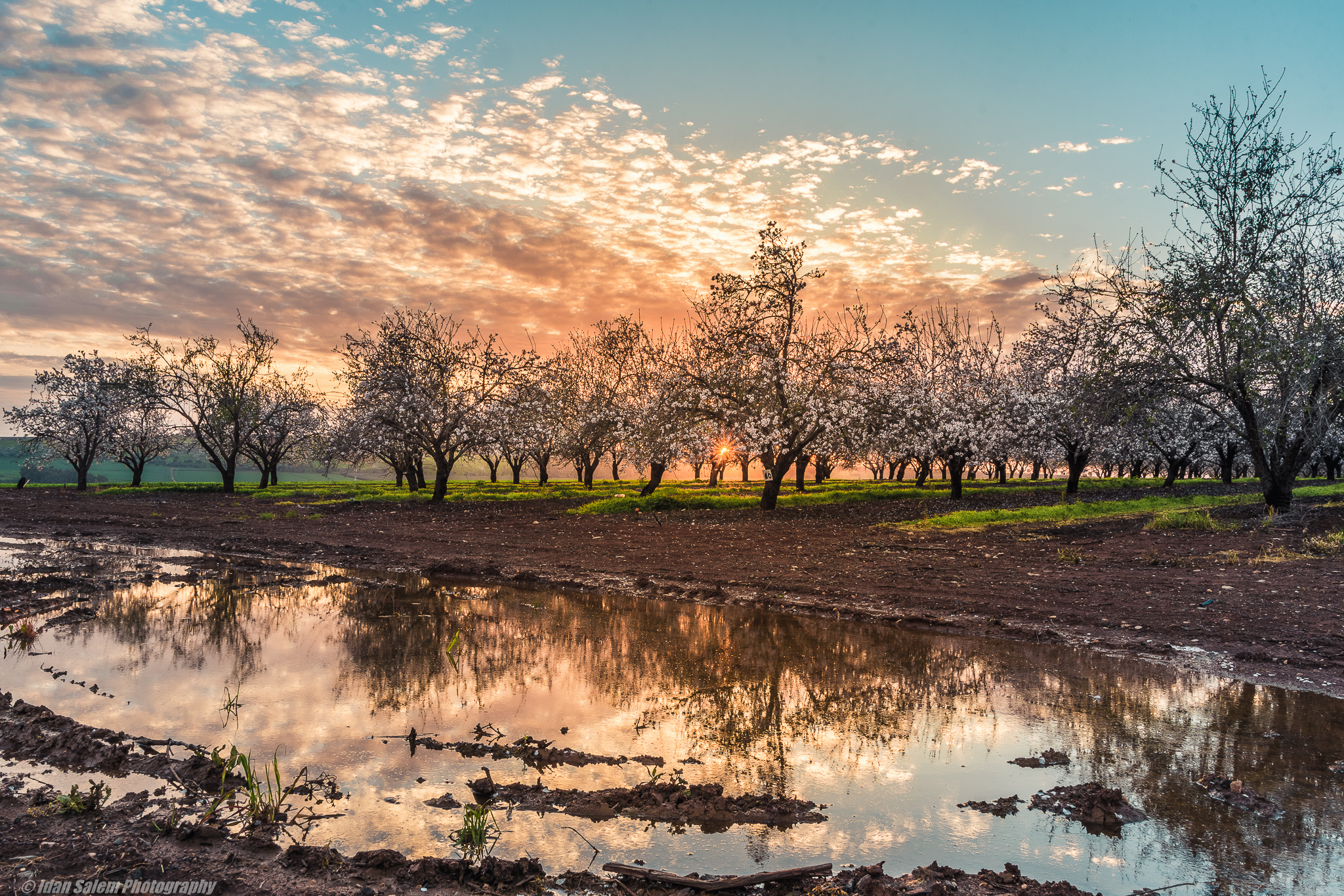 Entry 177272 in Portfolio by Idan Salem Photography