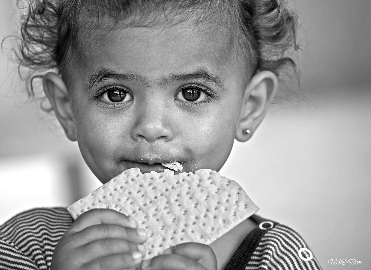 Entry 209444 in Portfolio by Udi Dror Photography