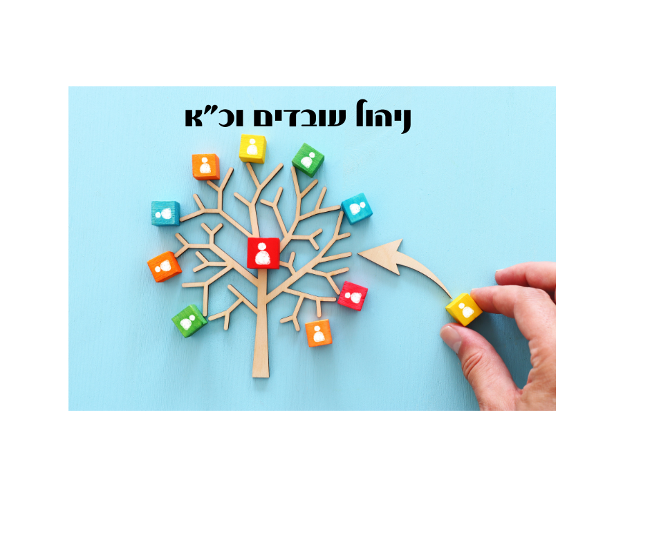 Entry 260138 in Portfolio by sarit- שירותי משרד ON-LINE