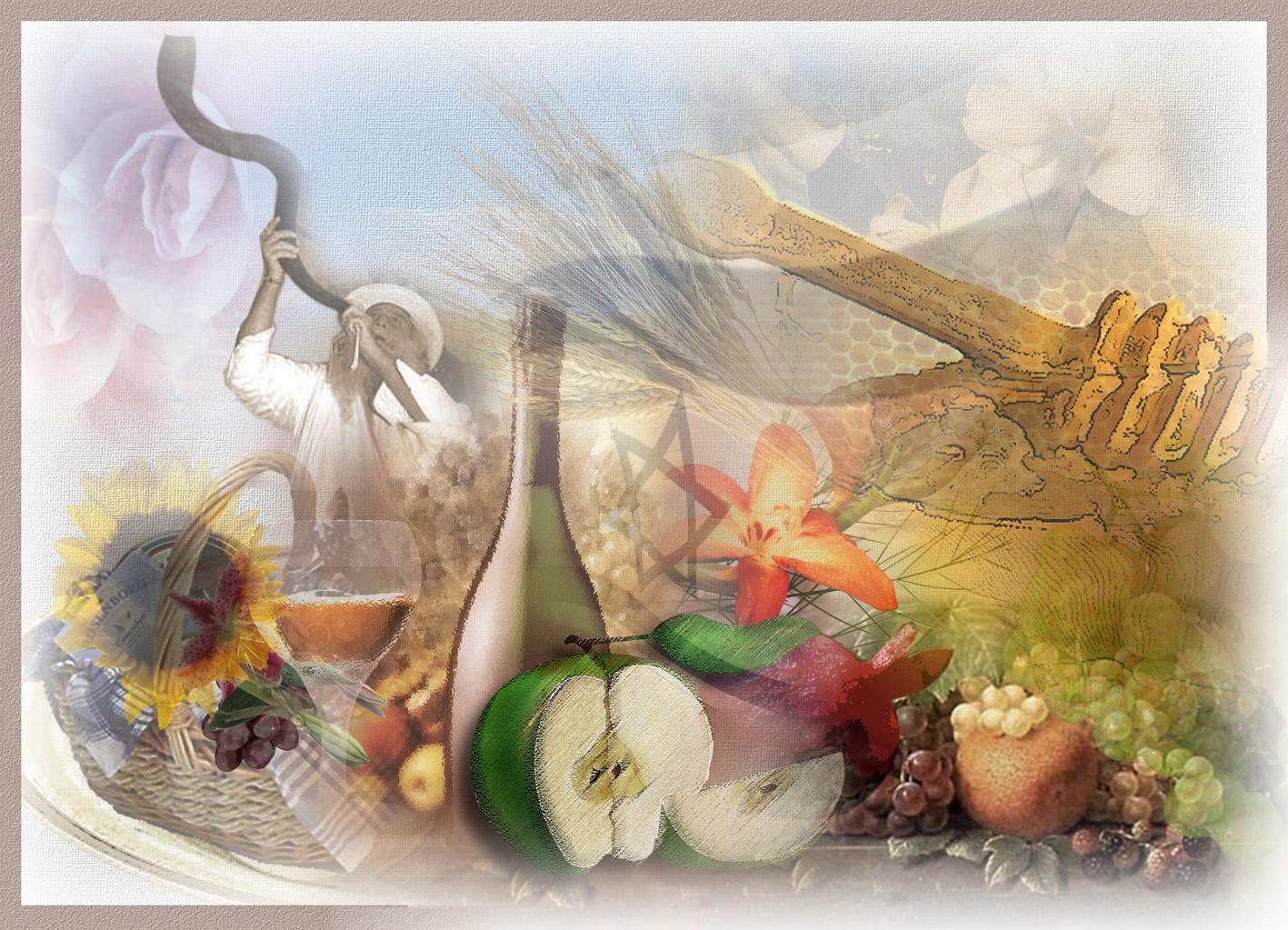 Entry 74328 in Portfolio by SIRCOLLAGE