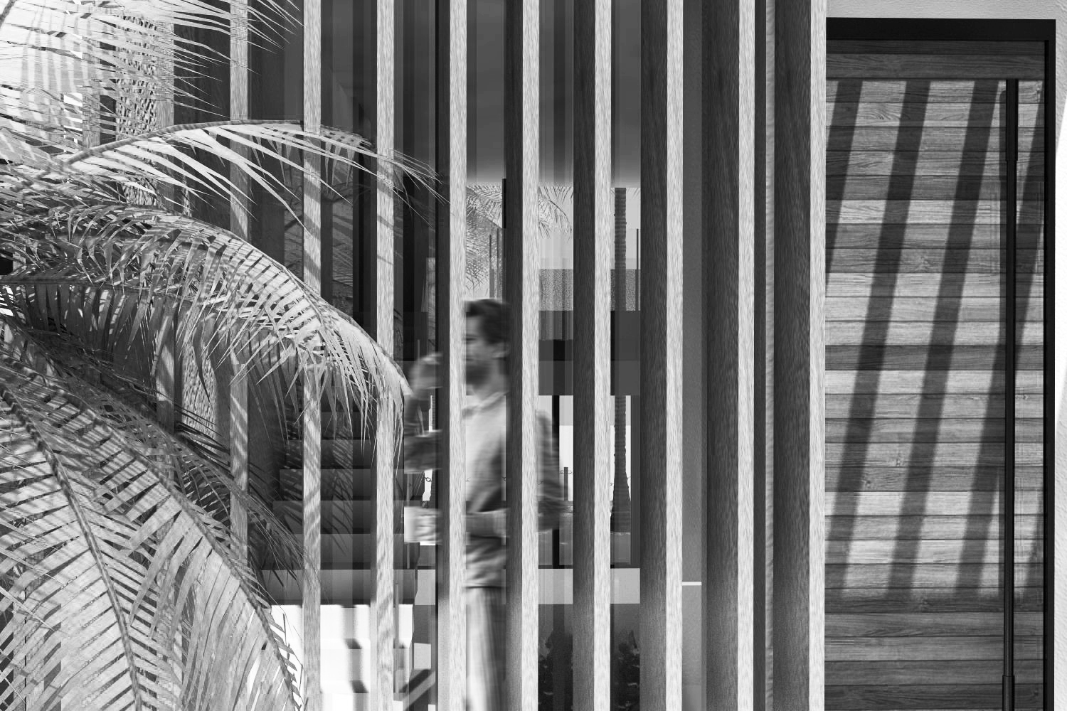Entry 197581 in Portfolio by Sivan Lazer - COMON SNANA