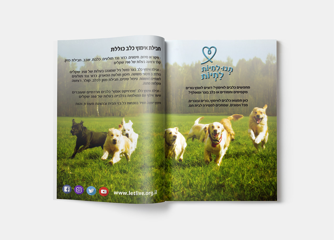 Entry 216957 in 15 Facts about Dogs by ענבר סיני עיצוב גרפי