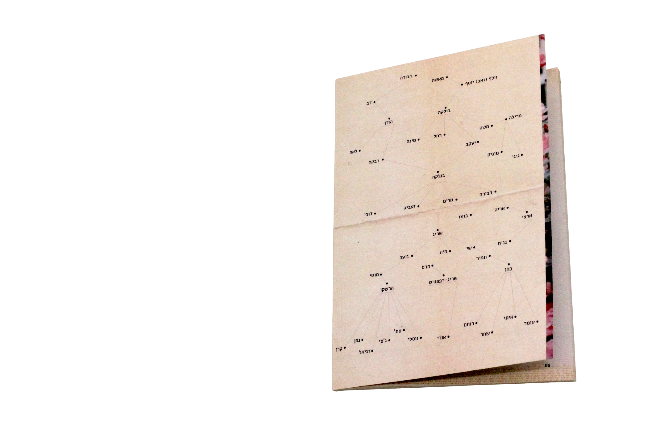 Entry 138573 in Portfolio by סטודיו מיטל עמיר