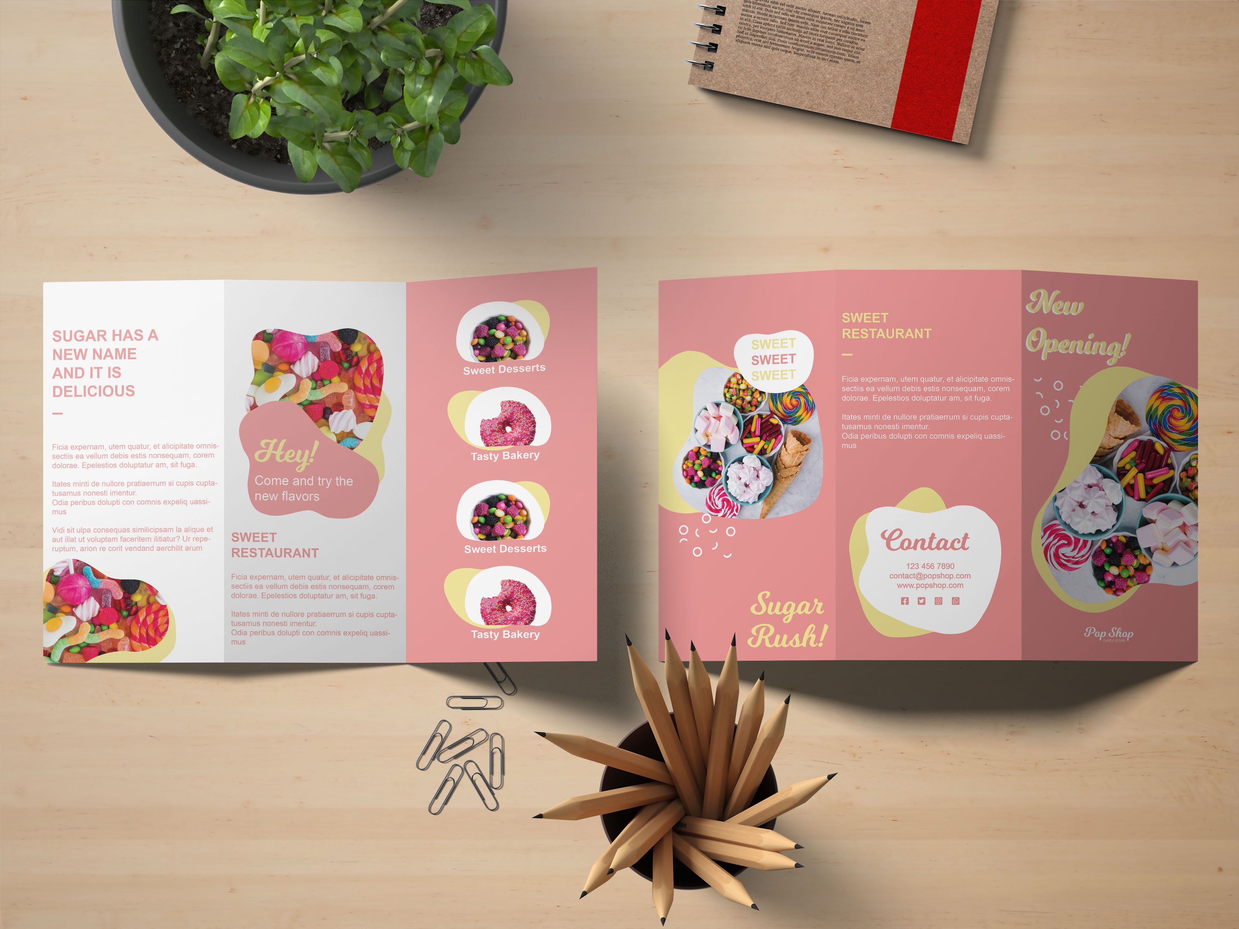 Entry 251565 in ברושורים by ורד חיימוביץ - מעצבת גרפית