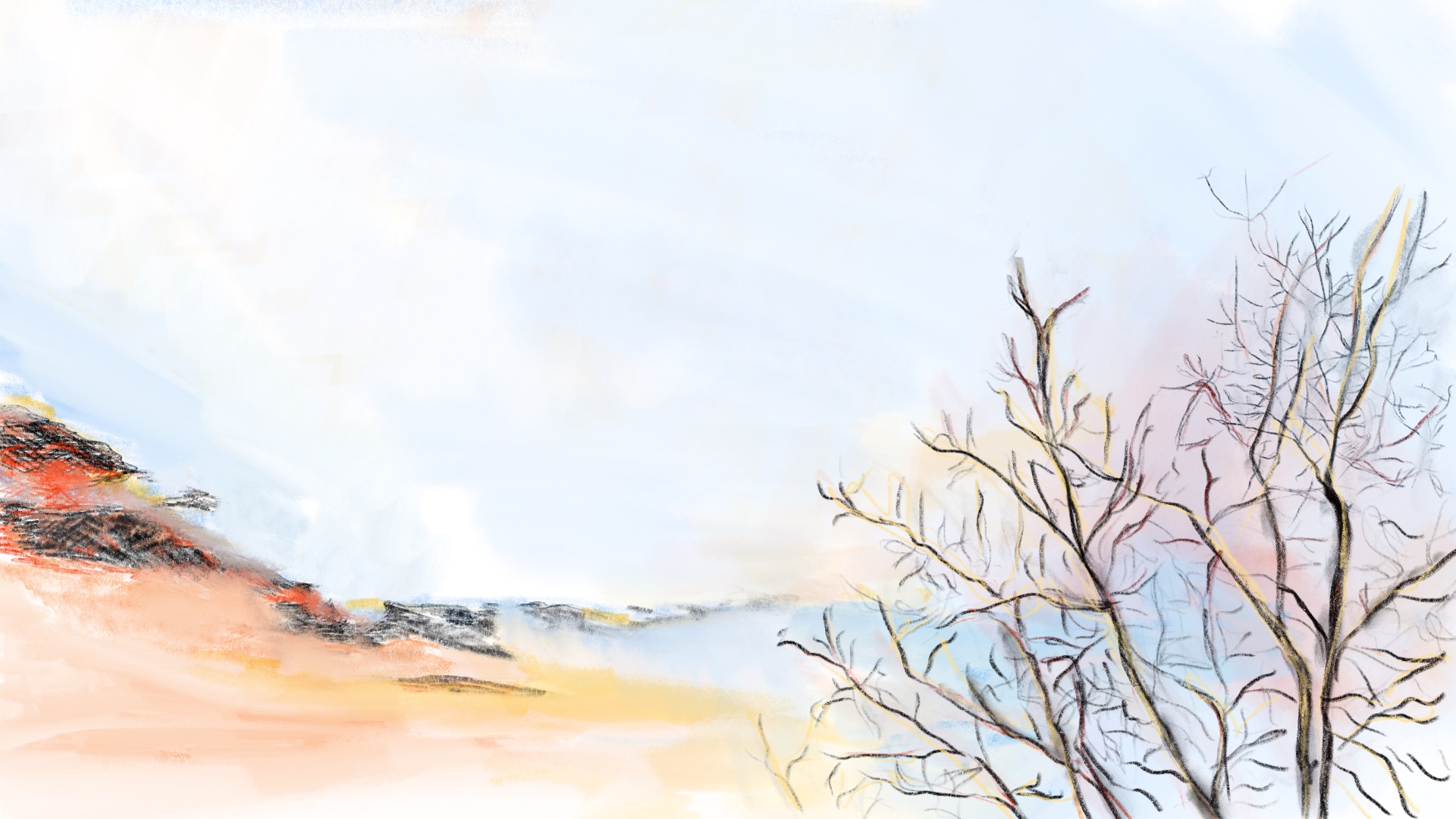Entry 263403 in Portfolio by Gal Cohen