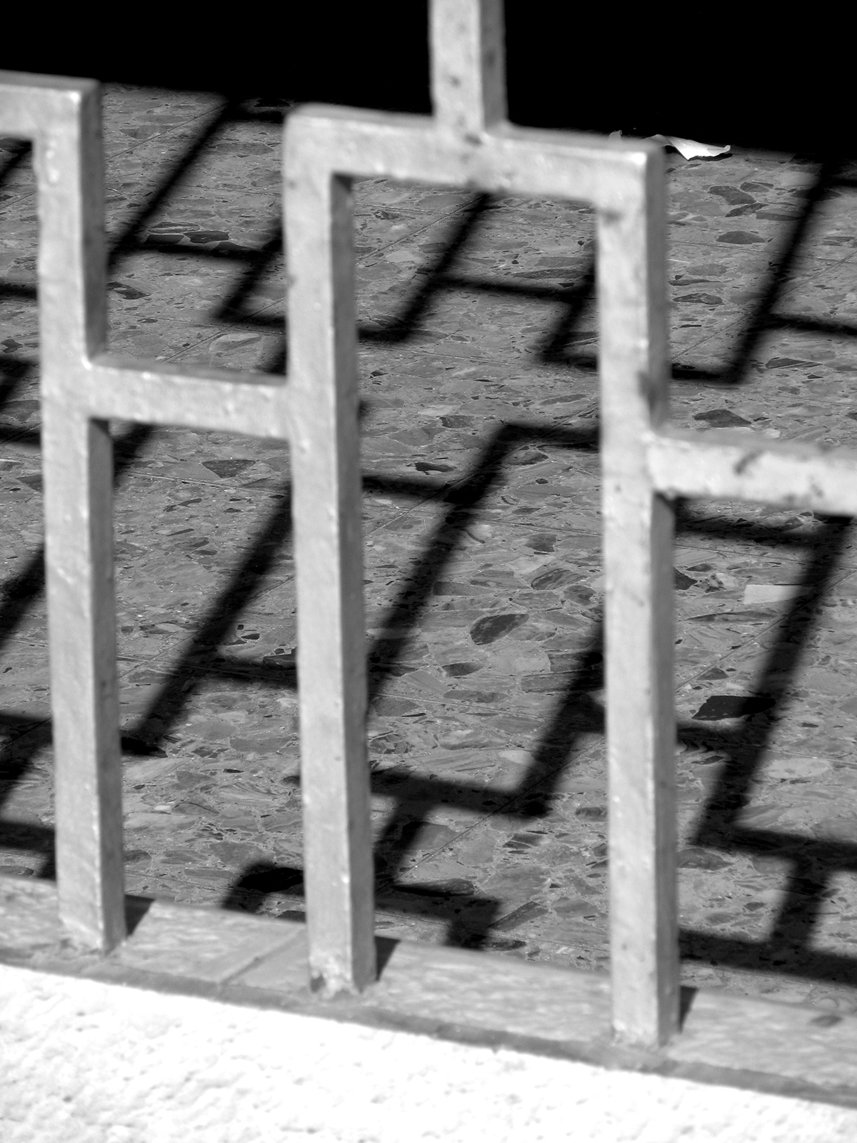 Entry 90071 in photography by אור נגר