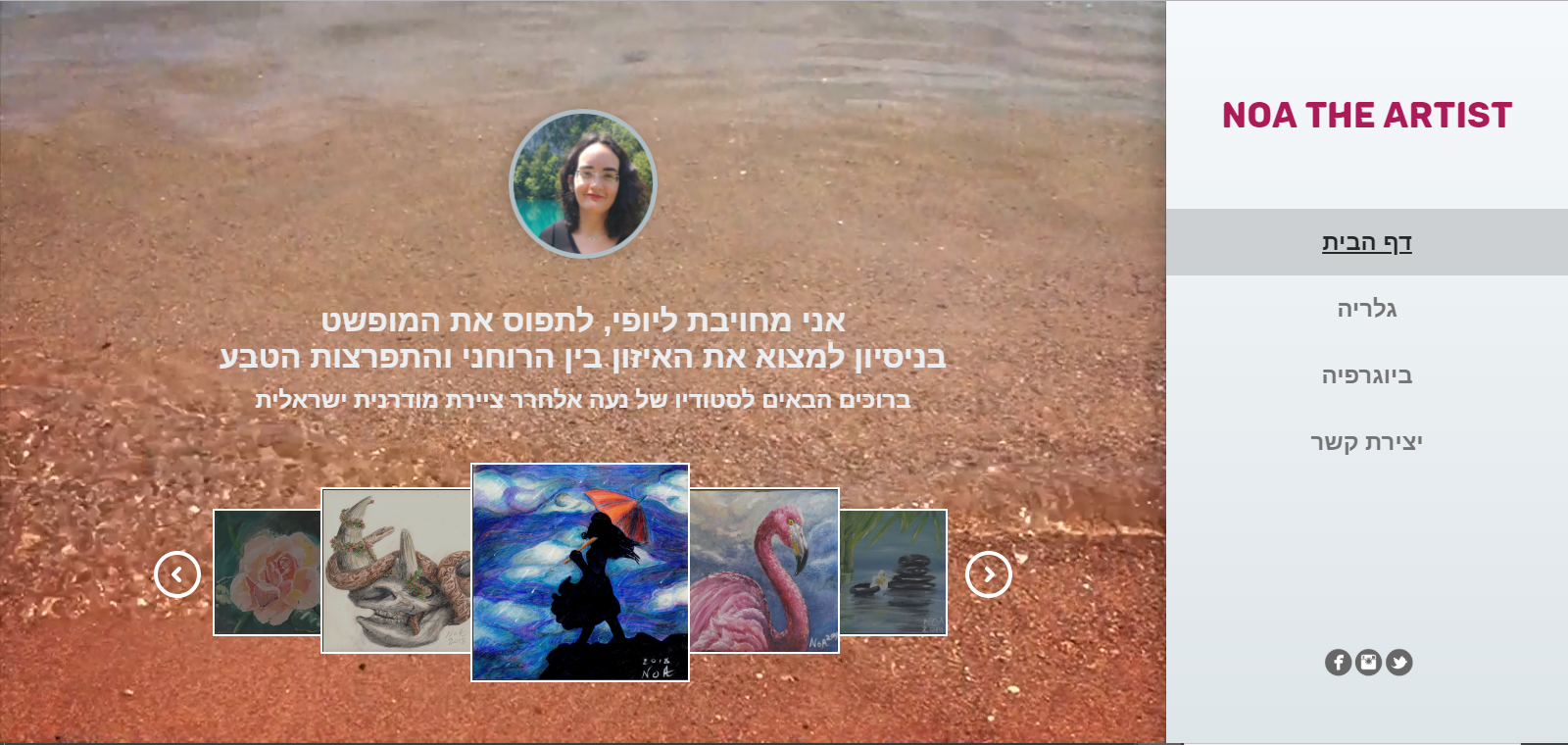 Entry 215892 in Portfolio by Noa The Artist