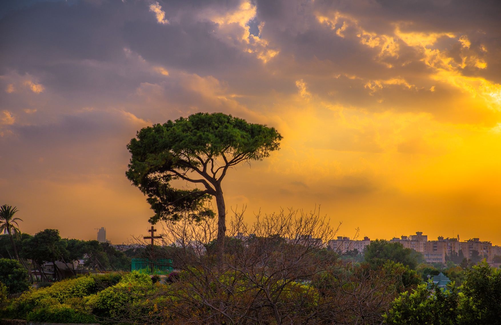 Entry 121124 in Landscapes by Ron Stollman Photography