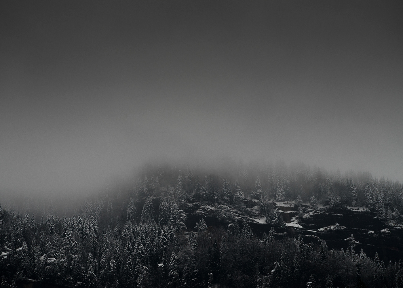 Entry 141660 in SWISS by DigitalMind