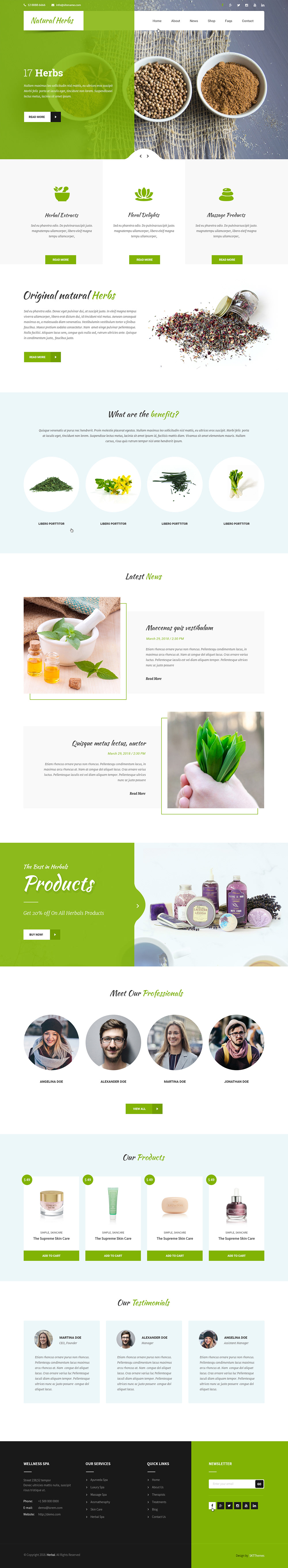 Entry 182259 in Natural WordPress theme by SKT Themes