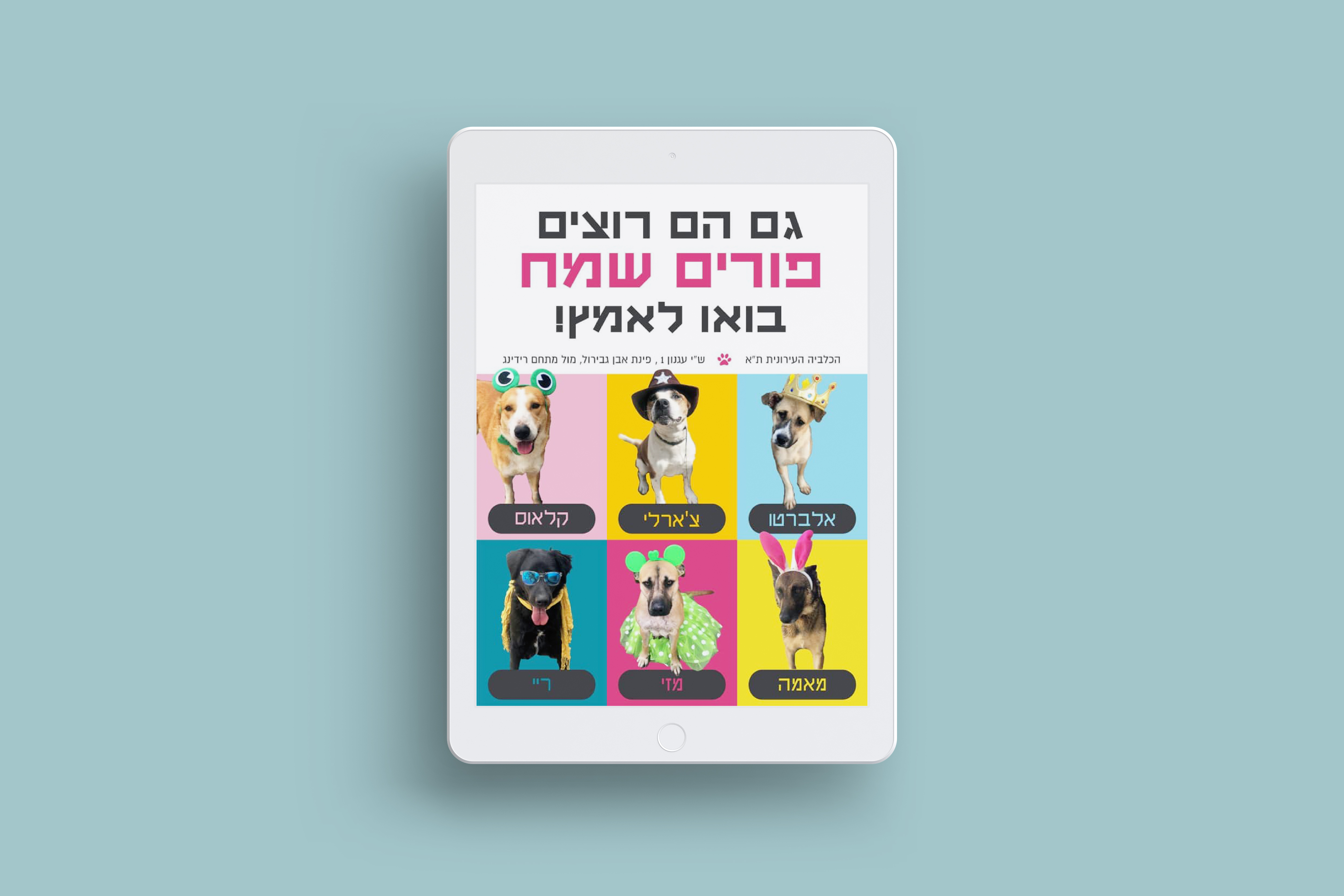 Entry 259736 in עיצובים לדיגיטל by גילי איתן