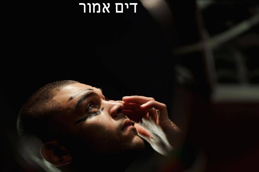 Entry 267773 in Portfolio by דים אמור בית ספר למשחק