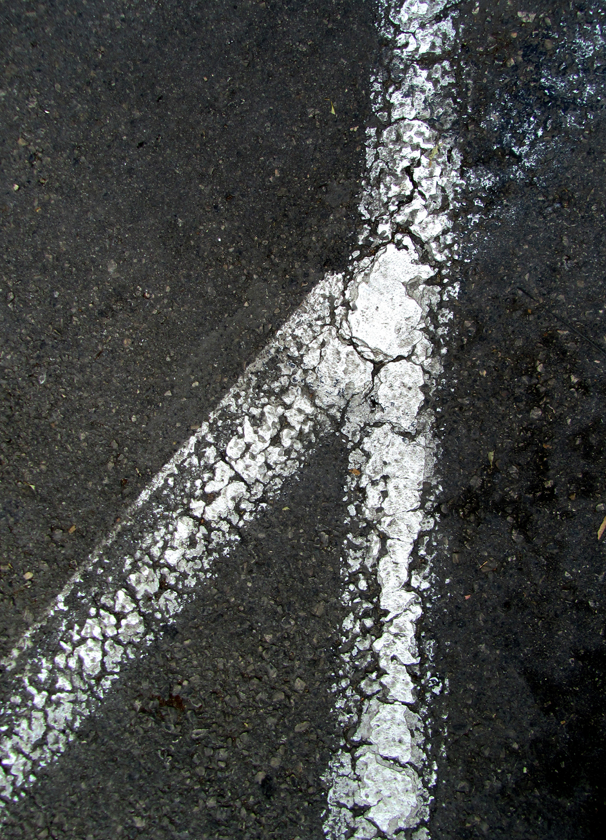 Entry 90107 in urban typography by אור נגר