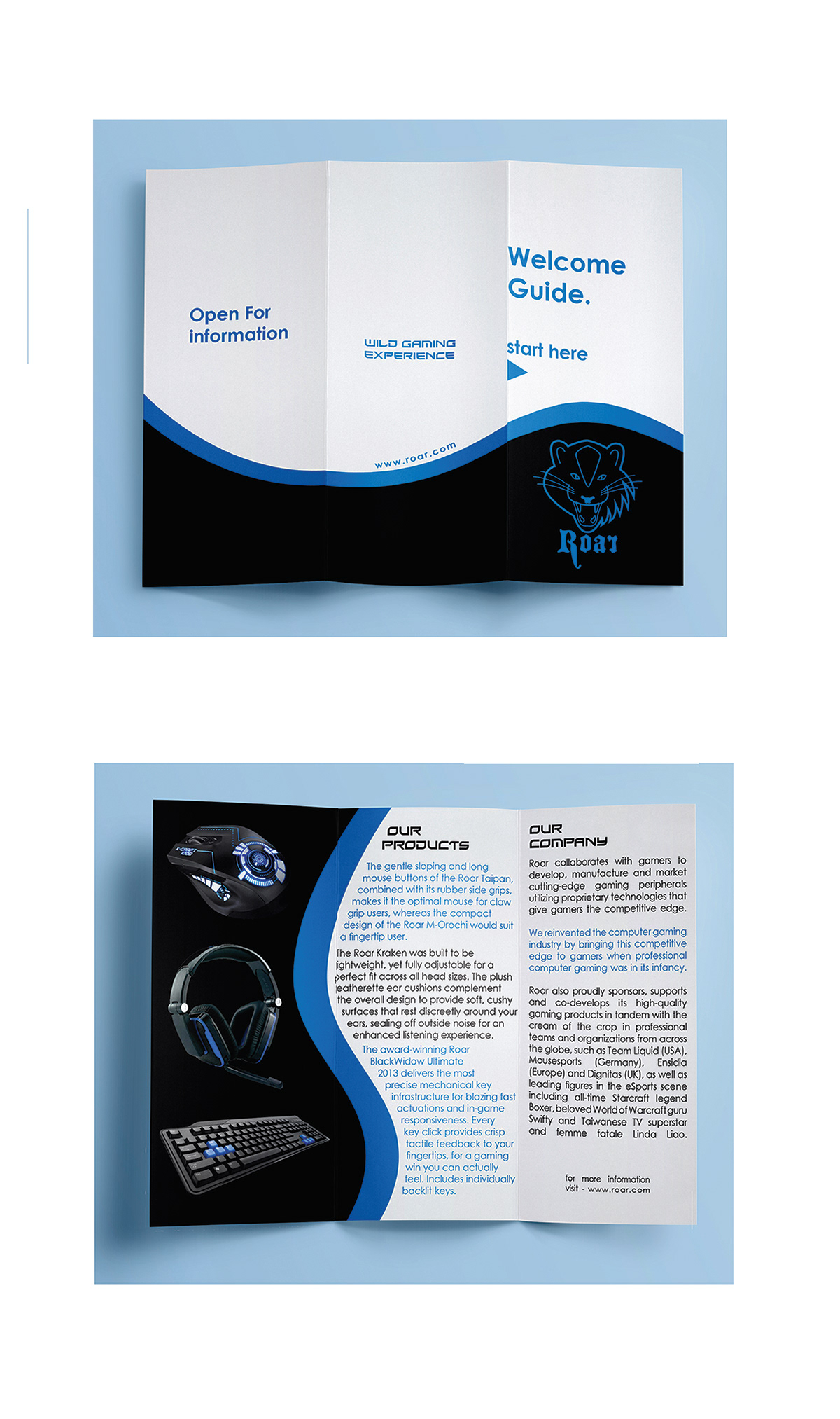 Entry 187148 in Brochure design #1 by Ilan Sastiel