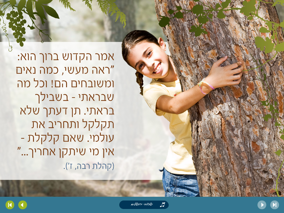 Entry 204661 in UI - ממשקי משתמש by סטודיו bizibug