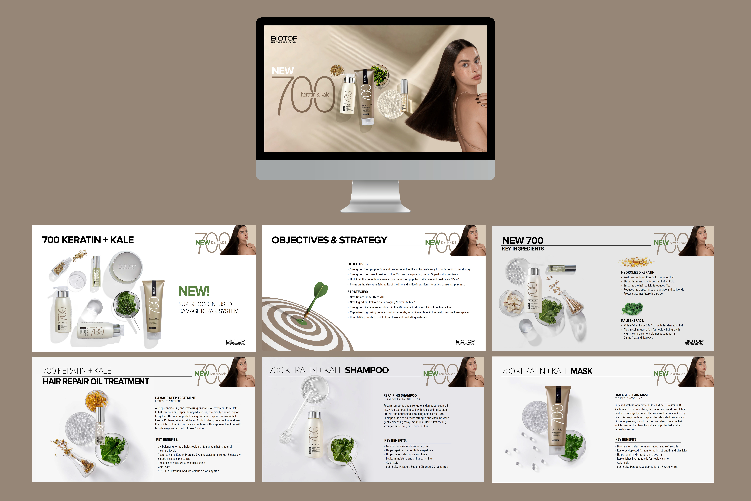Open Zoomed Related Entry presentations3.jpg