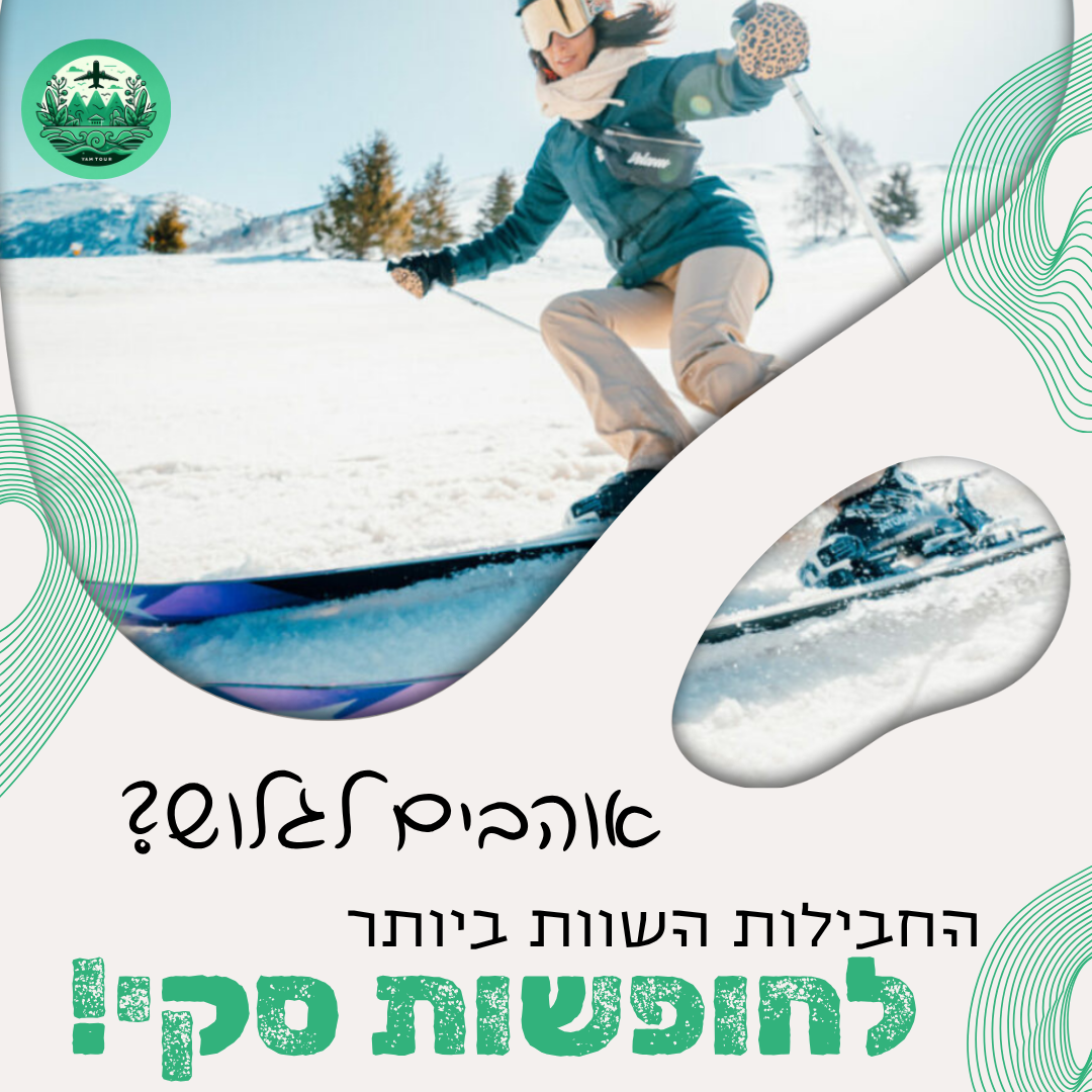 Entry 340989 in Portfolio by גרפיטיקס