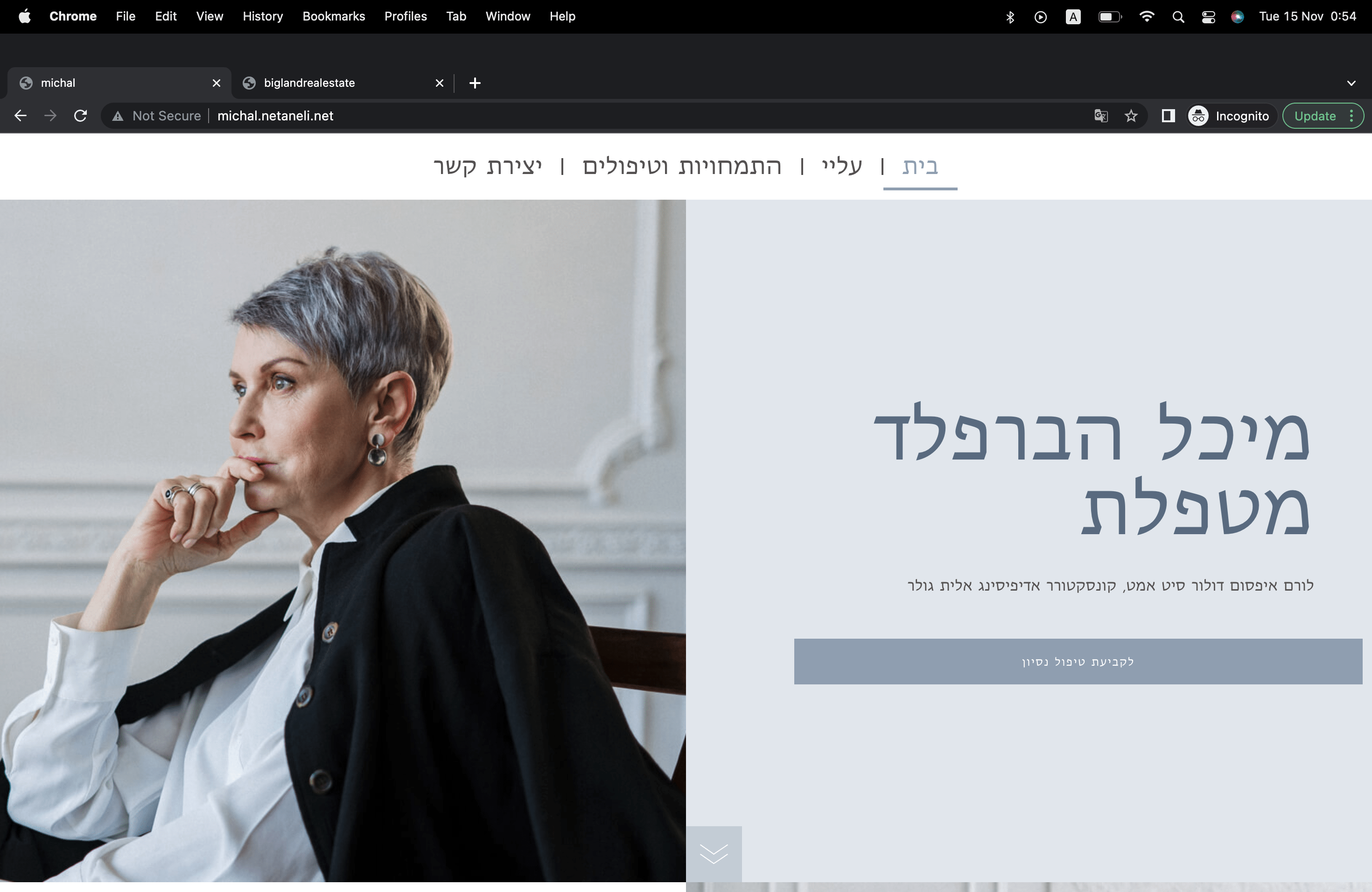 Entry 281037 in Portfolio by שחר נתנאלי - בנייה ועיצוב אתרים