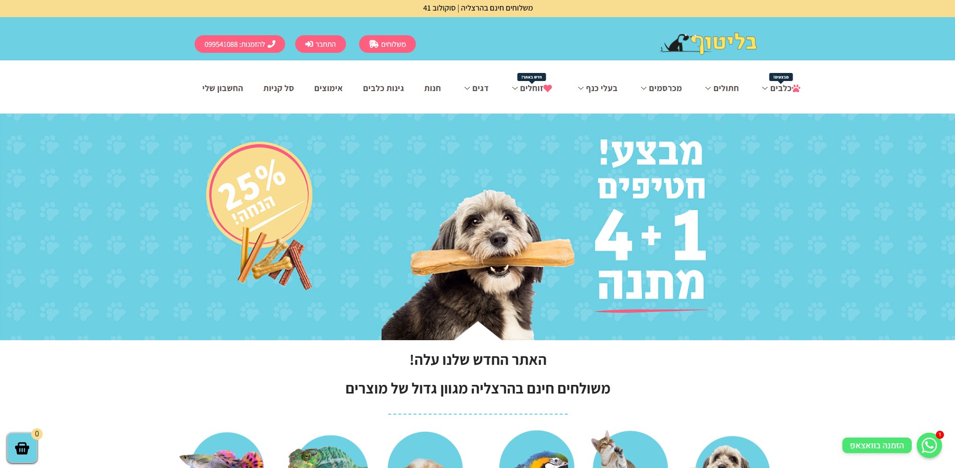 Entry 272360 in Portfolio by וובדיגיטל WebDigital