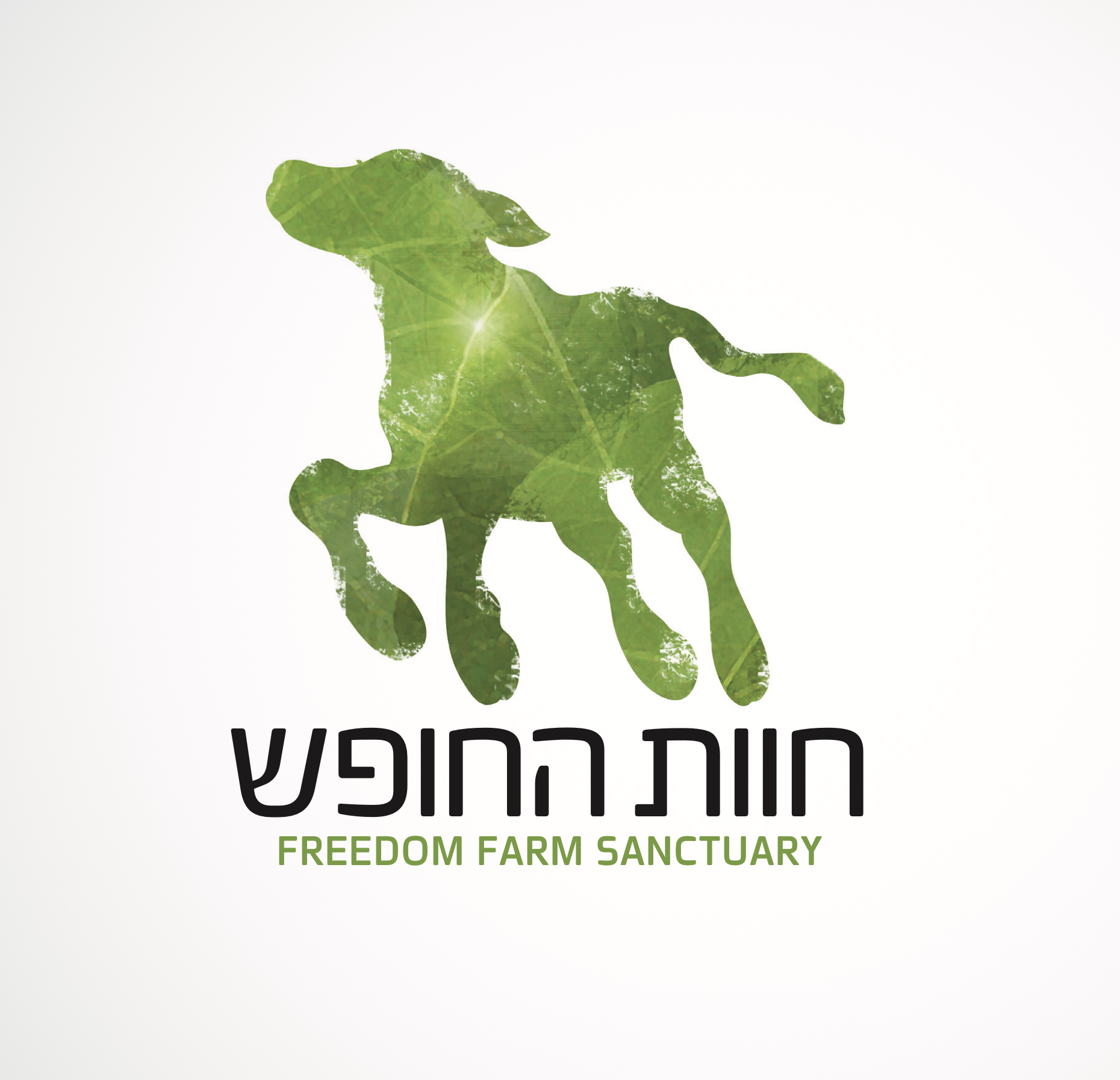 Entry 307539 in Portfolio by שרון כהן