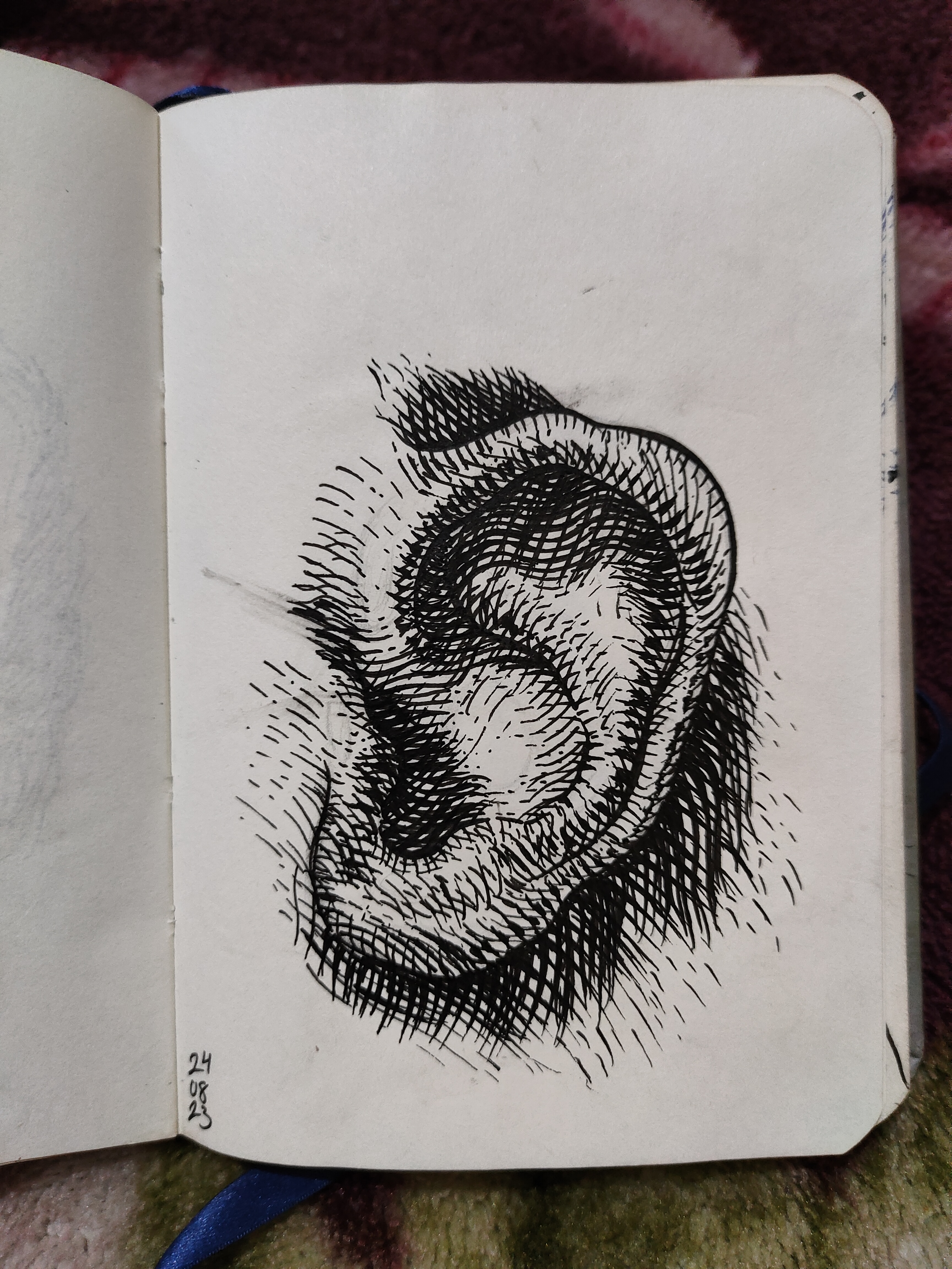 Entry 325317 in Portfolio by ניב אייזן