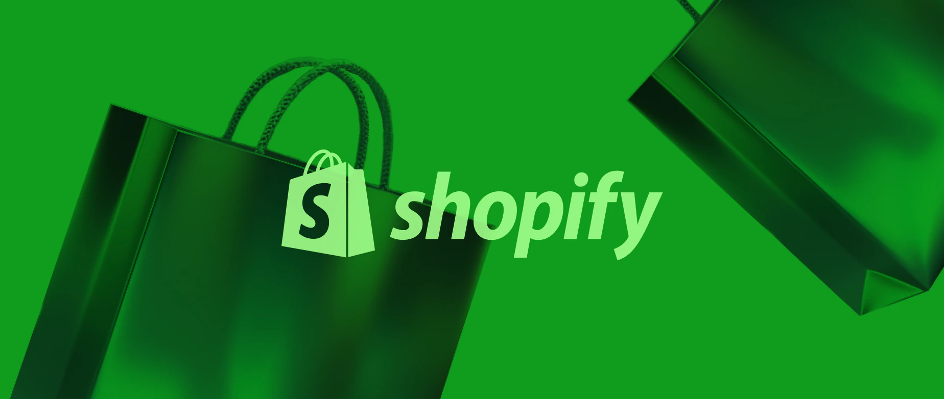 Entry 309239 in Portfolio by Shopify & Frontend Expert