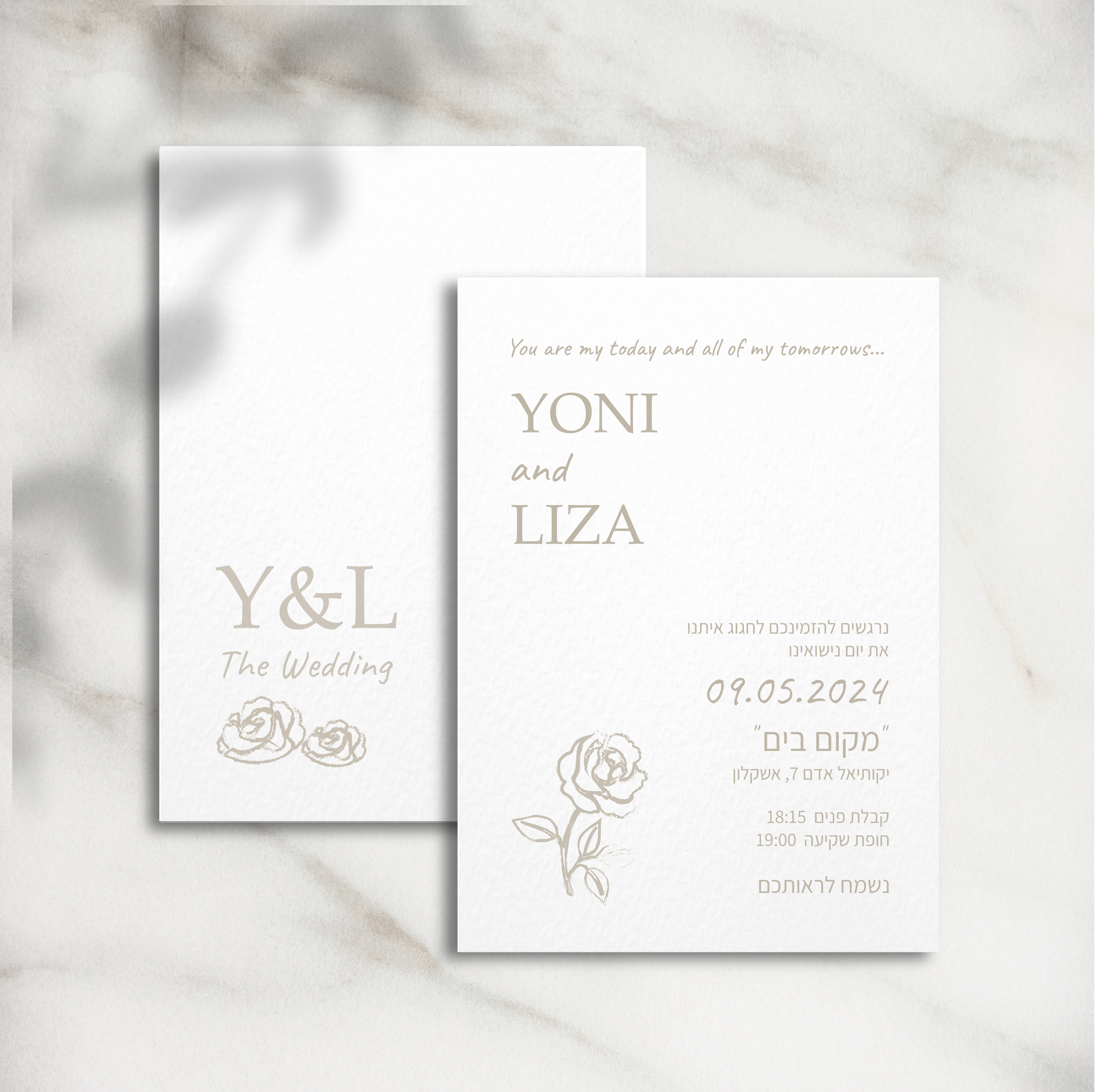 Entry 311085 in Portfolio by NITZAN HEN