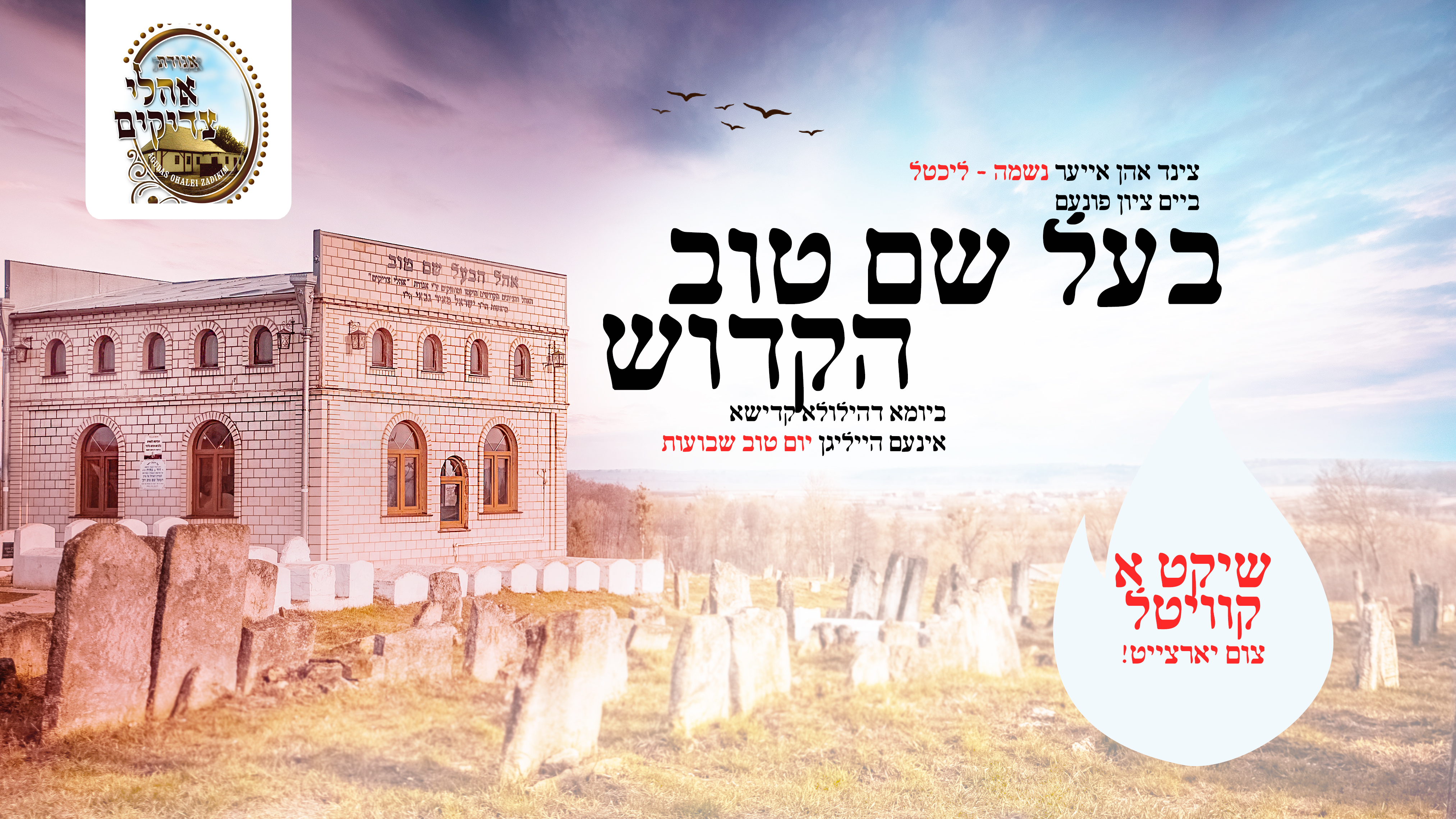 Entry 313189 in Portfolio by יצירה