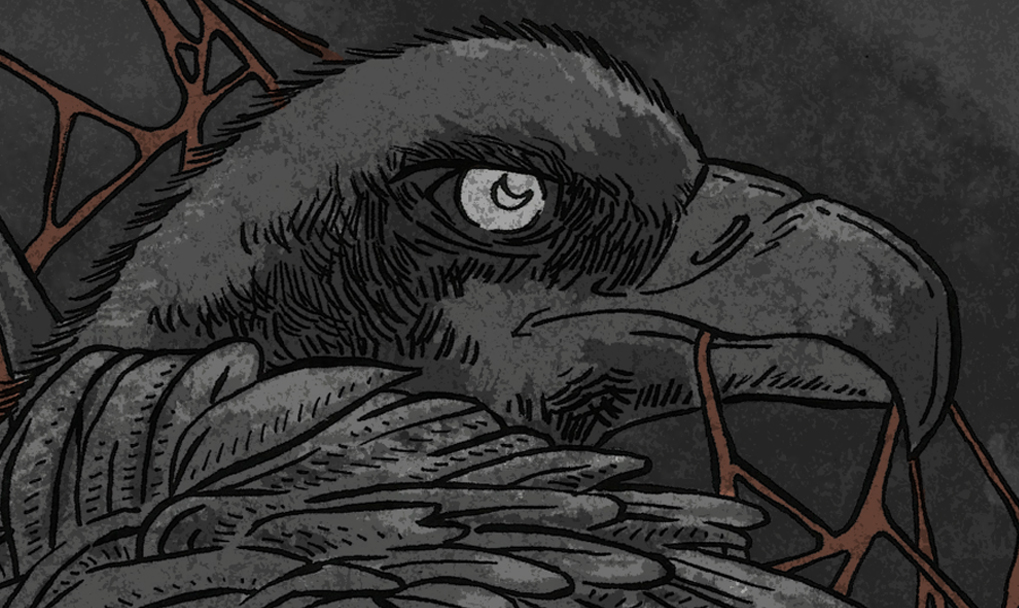 Entry 99460 in Vulture by Graphic Boost