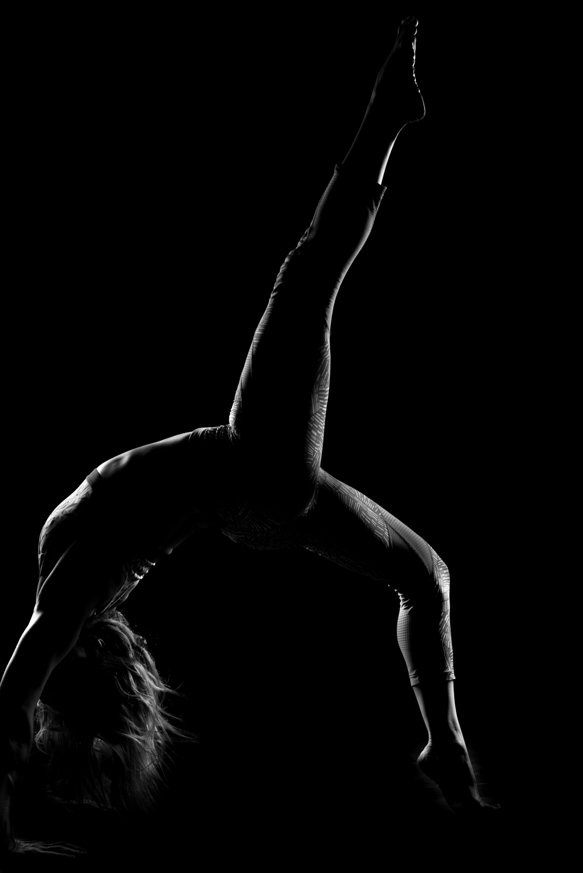 Entry 121131 in B&W by Ron Stollman Photography