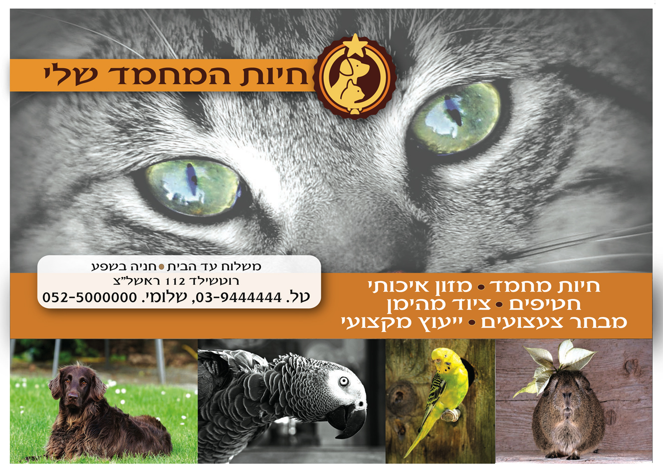 Entry 153277 in אורית מגנזי - עיצוב גרפי by אורית מגנזי - בל הפקות