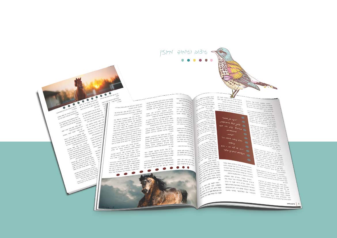 Entry 105284 in Portfolio by Huvi Kook