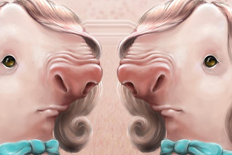 Open Zoomed Related Entry pigly_closer_upper.jpg