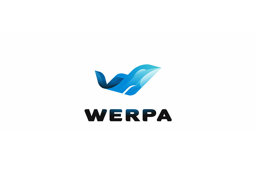 Entry 245729 in Logo for software business company by Max Kazmin