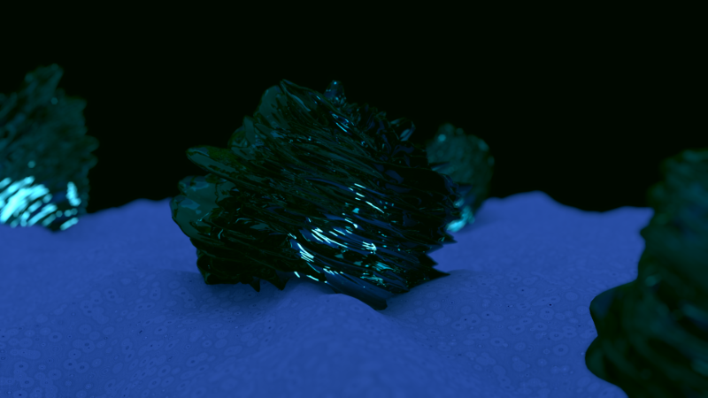Entry 40090 in Portfolio by סטודיו BioLogic