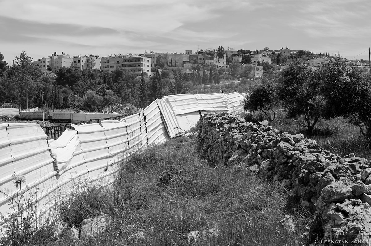 Entry 197219 in Beit Zafafa - Road 50 by לינתן זוהר - צלם ועורך
