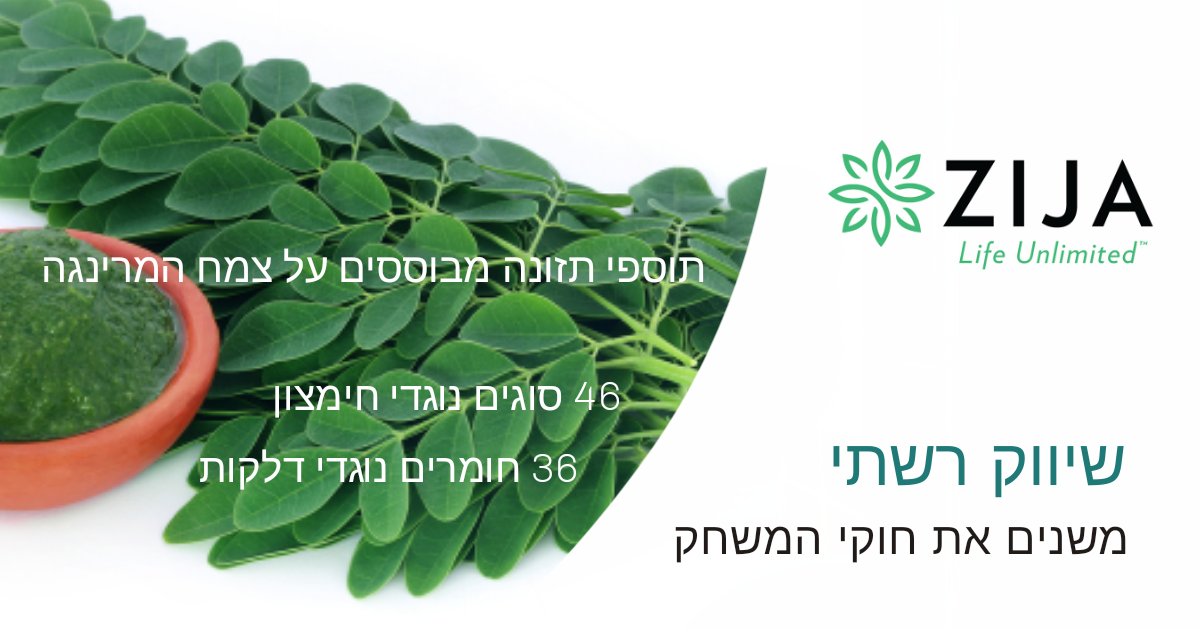 Entry 226392 in Portfolio by פוקוס דיזיין