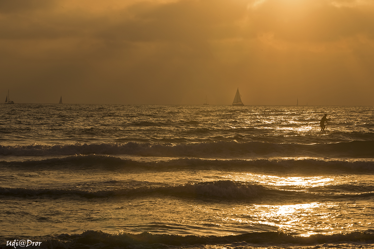 Entry 209477 in Portfolio by Udi Dror Photography