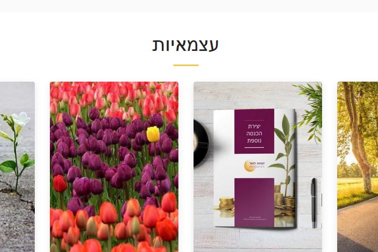 Open Zoomed Related Entry יוצאת לאור 2.png