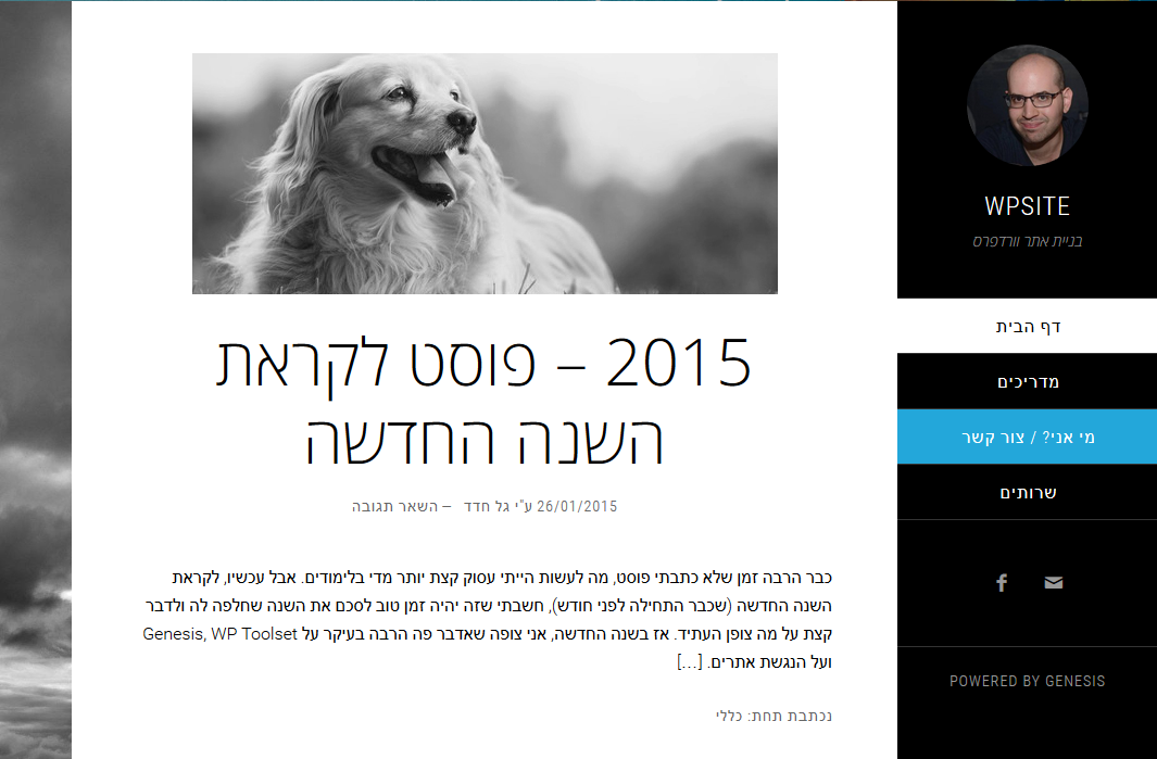 Entry 88039 in Portfolio by גל חדד WPsite