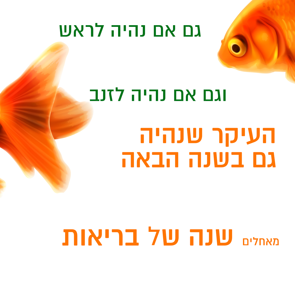 Entry 216883 in Portfolio by בקטנה