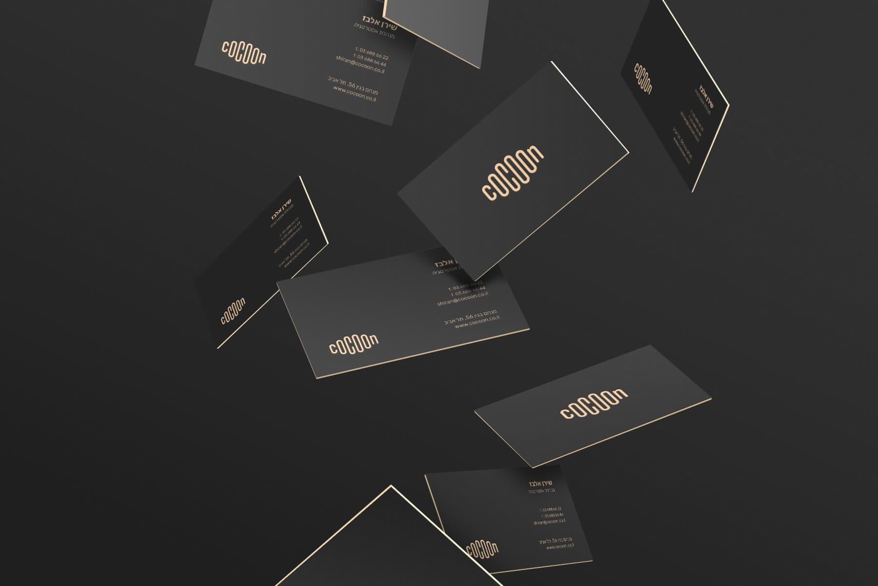 Entry 215063 in Portfolio by Attribute