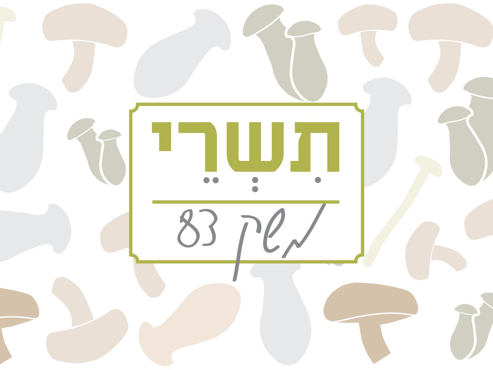 Entry 57598 in Portfolio by מעיין רוזנמן