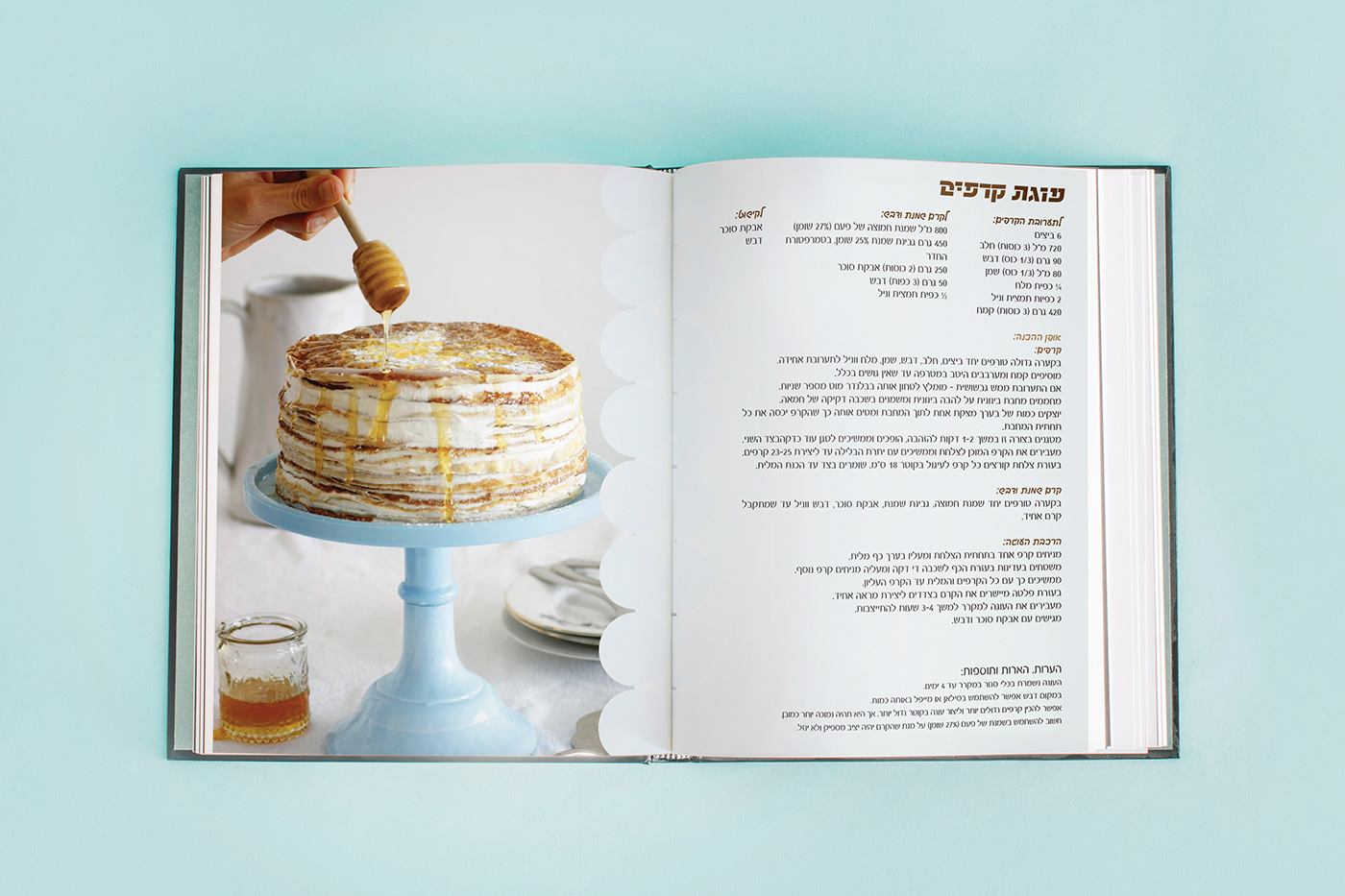Entry 250330 in עיצוב מתכון by liron anis