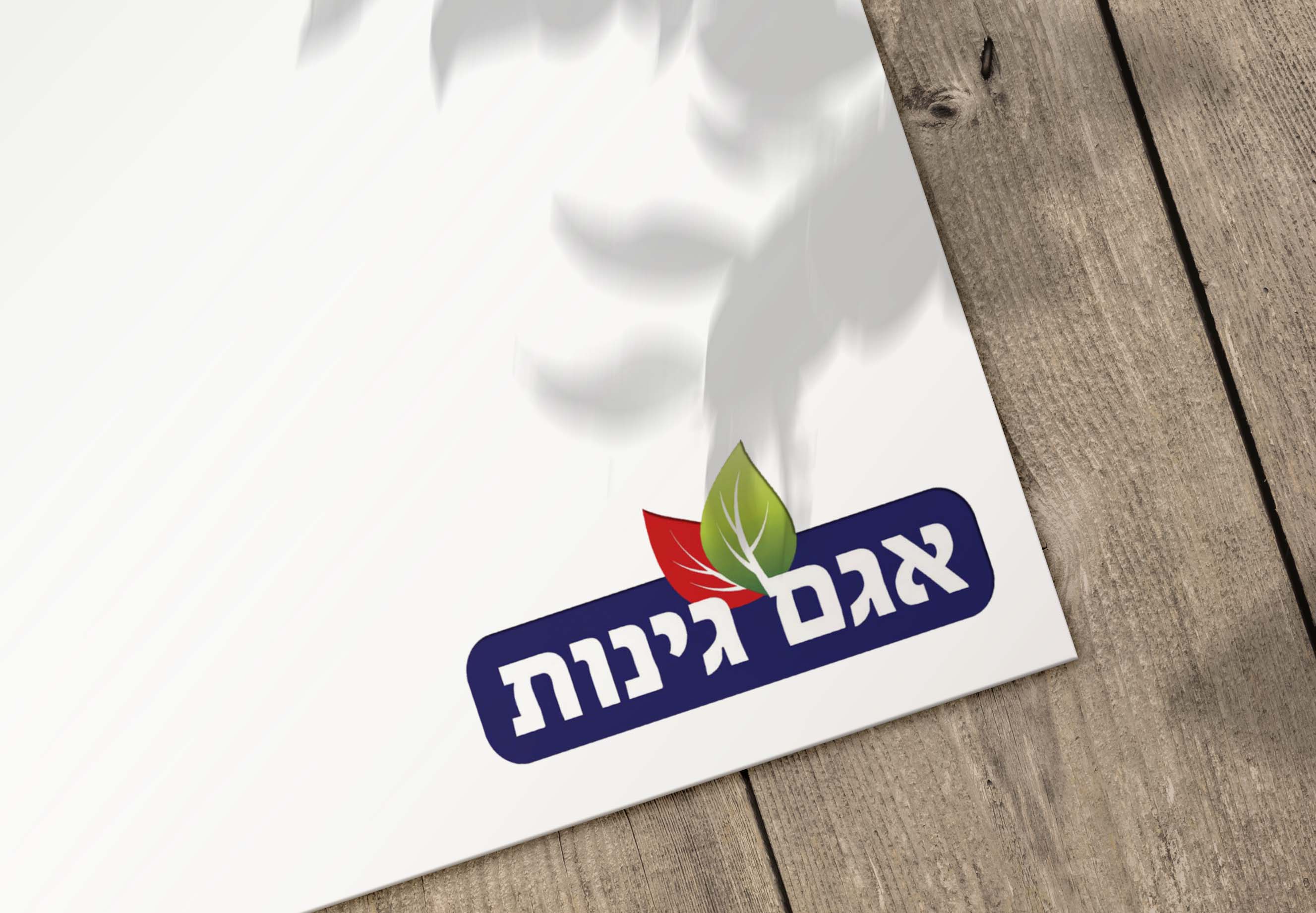 Entry 265139 in Portfolio by סטודיו נטע - גרפיקה ודפוס