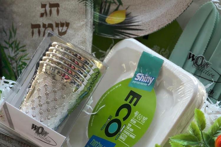 Open Zoomed Related Entry עיצוב ללא שם (5).png